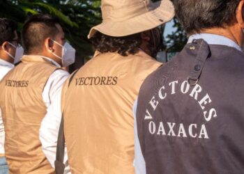 Piden los SSO mantener los espacios limpios para evitar el dengue