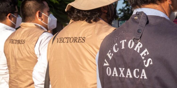 Piden los SSO mantener los espacios limpios para evitar el dengue