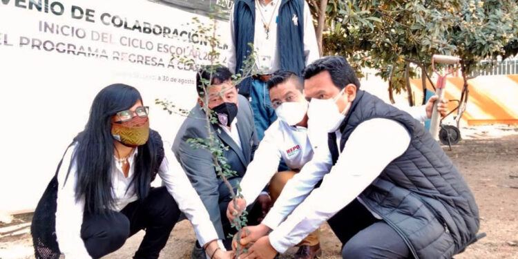 Fomenta IEEPO en estudiantes de nivel básico amor y respeto por la naturaleza