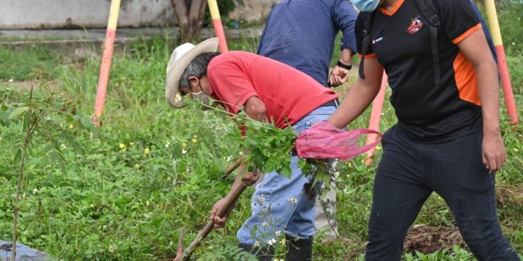 Realiza Ayuntamiento de Oaxaca tequio ciudadano en la colonia Francisco I. Madero
