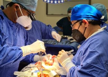 Decide ser donante y transforma la vida de hasta 10 personas: SSO