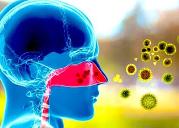 Registran hospitales del sector Salud 282 personas internadas por COVID-19