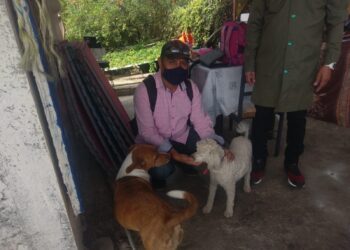 En lo que va de 2021, atiende Ayuntamiento de Oaxaca 182 denuncias por maltrato animal