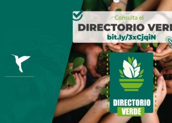 Se fortalece el Directorio Verde del Ayuntamiento de Oaxaca con 141 participantes