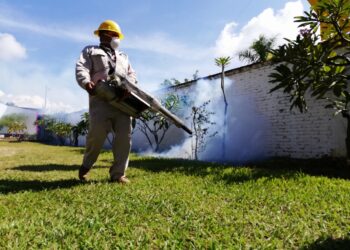 Más de dos millones de viviendas intervenidas con nebulización en la lucha contra el dengue: SSO