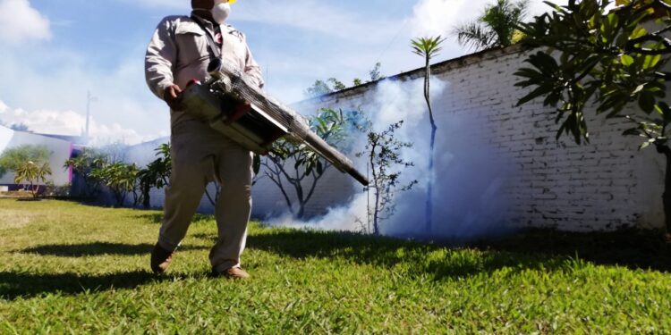 Más de dos millones de viviendas intervenidas con nebulización en la lucha contra el dengue: SSO