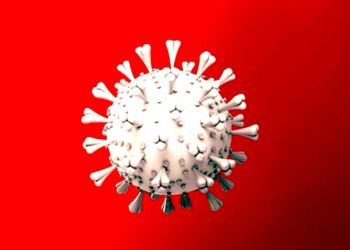 Asciende en Oaxaca a 78 mil 554 casos acumulados y cinco mil 266 muertes a causa del COVID-19: SSO