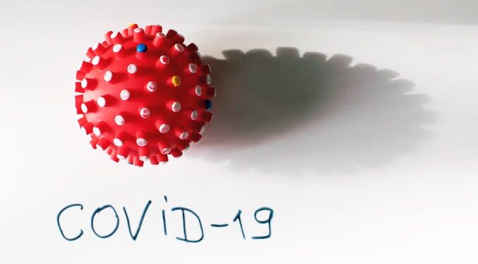 Ocupación hospitalaria global del 41.3% y 5 hospitales al 100% de saturación: SSO