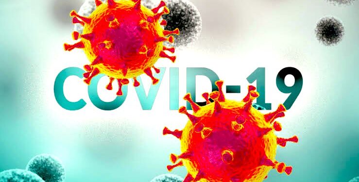 Confirman los SSO 46 municipios con 143 casos nuevos