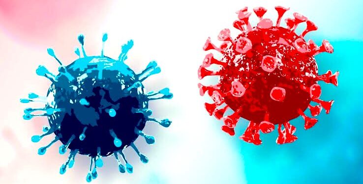 Se mantiene capacidad hospitalaria para COVID-19, por debajo del 40%: SSO