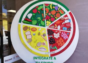 La familia, clave en la alimentación saludable: SSO