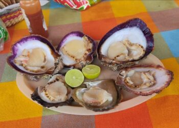 Se levanta veda sanitaria por marea roja en el Istmo: SSO