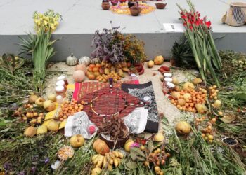 Medicina tradicional, gran aliada en medio de la pandemia: SSO