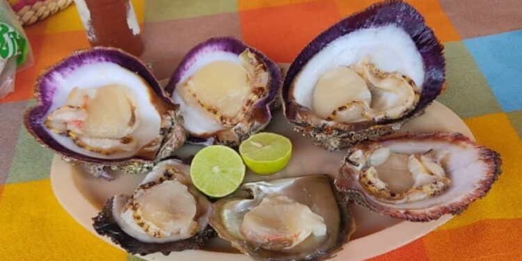 Se levanta veda sanitaria por marea roja en el Istmo: SSO