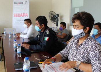 Crean “Alerta Bovino”, plataforma digital para combatir el robo de ganado