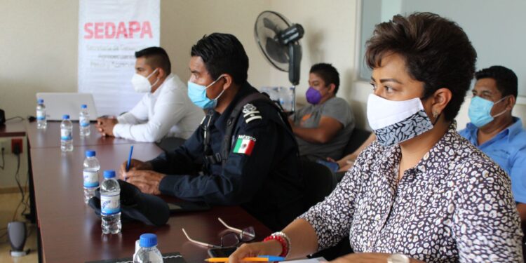 Crean “Alerta Bovino”, plataforma digital para combatir el robo de ganado