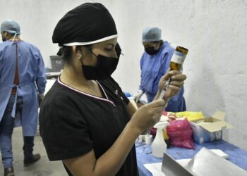 Ofrece Ayuntamiento capitalino jornadas de esterilización animal y pruebas gratuitas de VIH, Sífilis y Hepatitis C