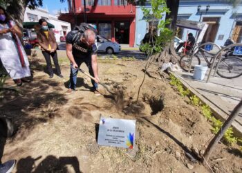 Para promover el respeto a la comunidad LGBTTTIQ+, planta Ayuntamiento de Oaxaca “Árbol de la tolerancia”