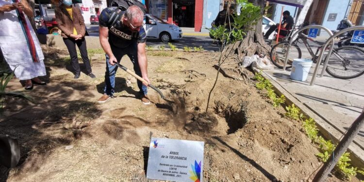 Para promover el respeto a la comunidad LGBTTTIQ+, planta Ayuntamiento de Oaxaca “Árbol de la tolerancia”