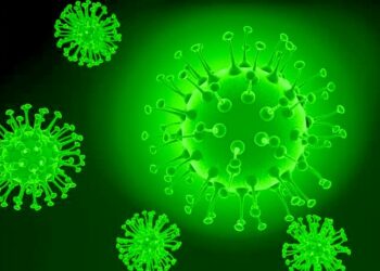 18 municipios reportan 31 casos nuevos de COVID-19: SSO