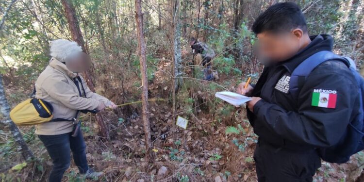 En el Distrito de Ixtlán, Fiscalía General coordina y ejecuta operativo de búsqueda de personas desaparecidas