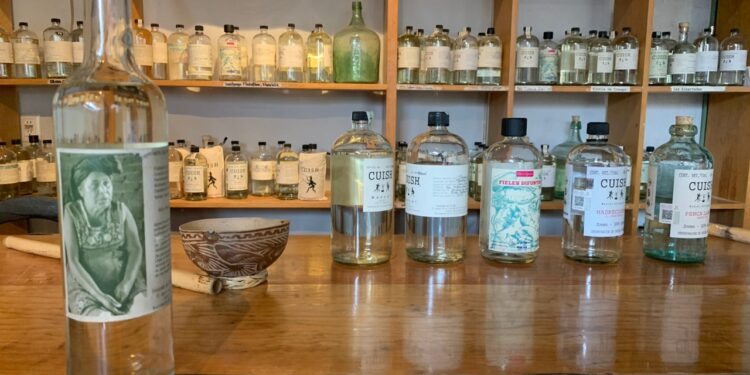 Mezcal, entrañable tradición en la que también destacan mujeres oaxaqueñas