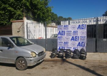 Fiscalía de Oaxaca asegura 15 mil huevos de tortuga en el Istmo de Tehuantepec