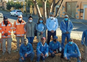 Ayuntamiento de Oaxaca y Fundación Harp Helú reponen árbol caído en la calzada de la República