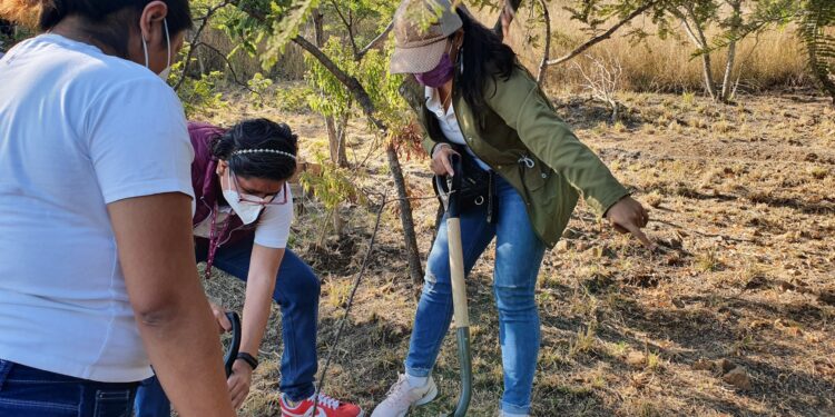Ayuntamiento y Comisariado Comunal de San Martín Mexicapam realizan tequio en parque natural