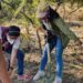 Ayuntamiento y Comisariado Comunal de San Martín Mexicapam realizan tequio en parque natural