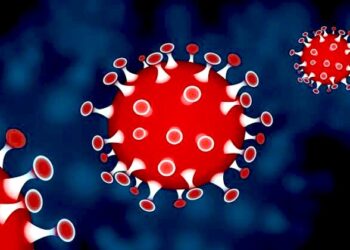 En una semana se acumulan 328 casos nuevos y 25 decesos; la pandemia aún no termina: SSO