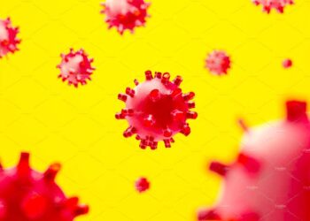 Inicia semana con 84 casos activos de COVID-19; SSO insta a no relajar medidas sanitarias