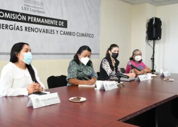 Busca Legislativo garantizar un ambiente sano para las y los oaxaqueños