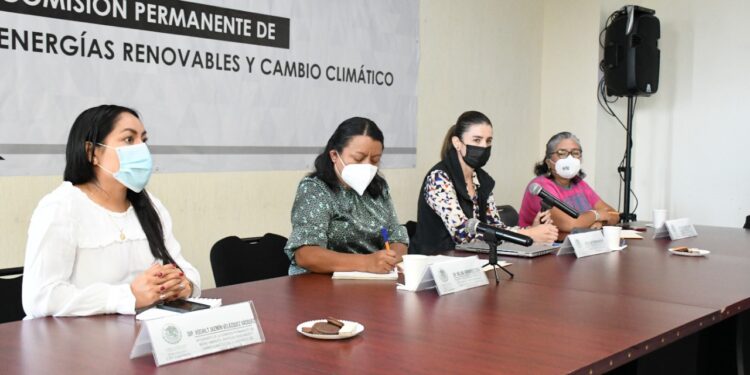 Busca Legislativo garantizar un ambiente sano para las y los oaxaqueños