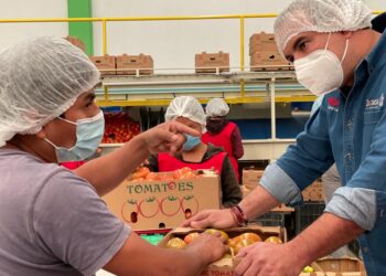 Realizará gobierno de Oaxaca “Feria del Crédito para el Campo”