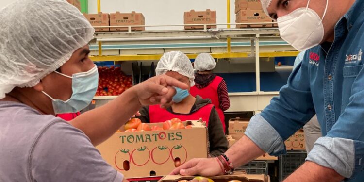 Realizará gobierno de Oaxaca “Feria del Crédito para el Campo”