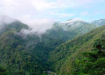 Temperaturas más bajas se presentarán en sistemas montañosos de la Sierra Sur, Sierra Norte y Mixteca: CEPCO