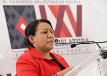 Demanda Congreso protección para defensora de derechos humanos