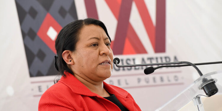 Demanda Congreso protección para defensora de derechos humanos