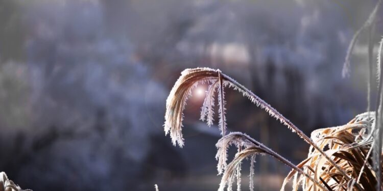 Pronostican ambiente frío con heladas y presencia de escarcha en zonas elevadas de la Mixteca, Sierra Norte y Sierra Sur
