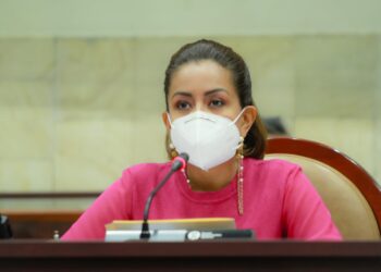 Presenta la Diputada Mariana Benítez iniciativa de Reforma a 12 Leyes