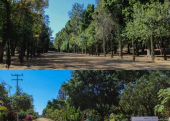 Coadyuva Bosque El Tequio a mejorar el medio ambiente en la capital