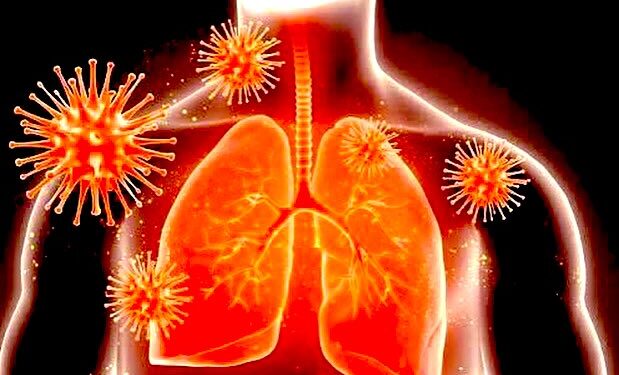 Incrementa a 103 mil 777 los casos acumulados de COVID-19,&nbsp;739 se notificaron en un día: SSO