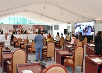 Analiza Poder Legislativo decretar ley contra maltrato animal en Oaxaca