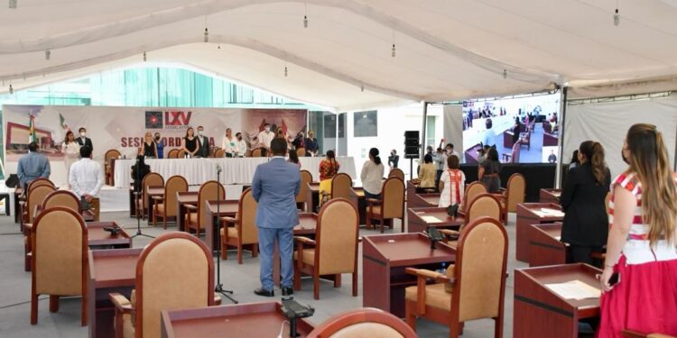 Analiza Poder Legislativo decretar ley contra maltrato animal en Oaxaca