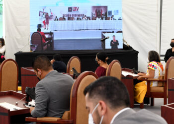 Exigió Congreso a Ejecutivo expida reglamento de ley forestal