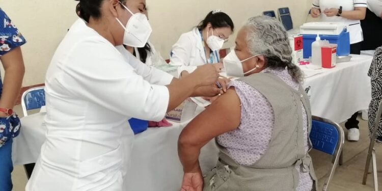 Reporta Oaxaca más de 85% de avance en vacunación antiinfluenza: SSO