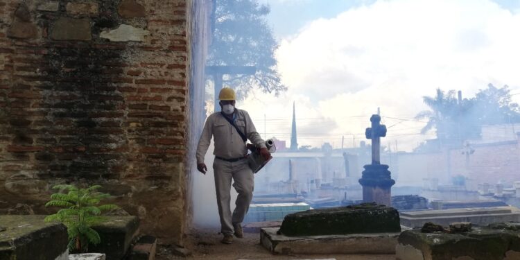 Pide SSO a población a sumarse a las acciones contra el Dengue,