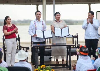 Veracruz muestra cómo se ha transformado a través del arte&nbsp;