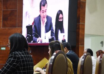 Plantean diputados exigir al gobierno estatal, creen políticas públicas emergentes por incendios forestales